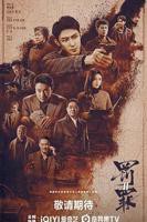 《罚罪2》电视剧免费在线观看_国产剧高清完整版全集